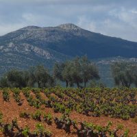 Imagen miniatura para la imagen principal del anuncio